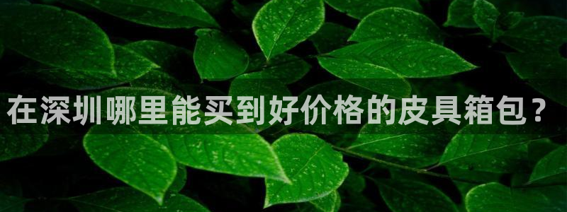 琳琅娱乐开户