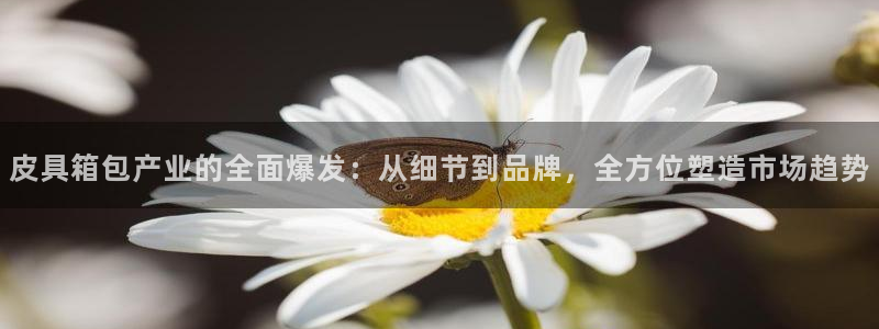 青娱娱乐琳琅导航
