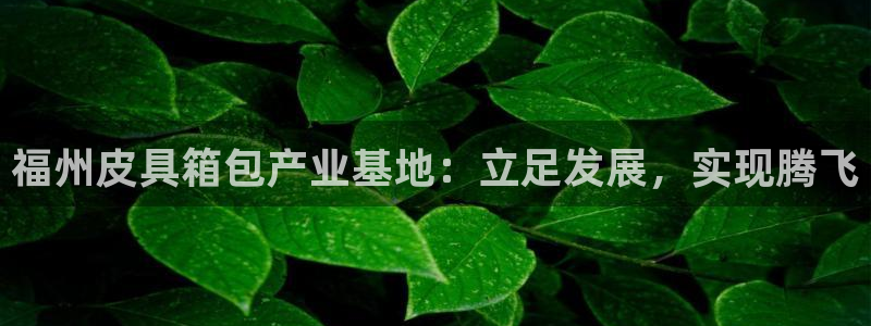 琳琅娱乐是什么