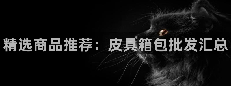 琳琅娱乐600