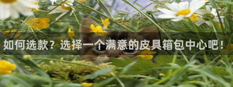 琳琅娱乐百科