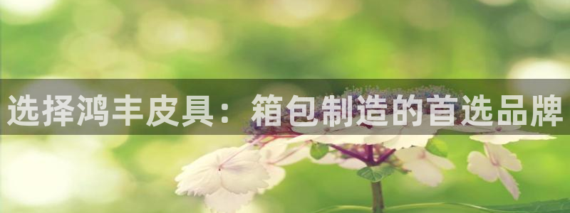 琳琅娱乐代理人是谁