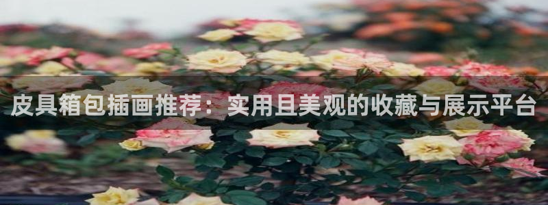 琳琅娱乐 全麦优质