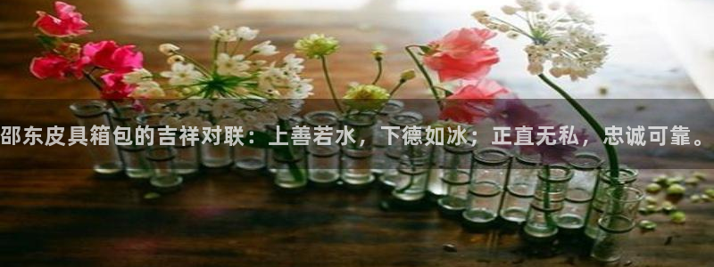 qq飞车琳琅娱乐组