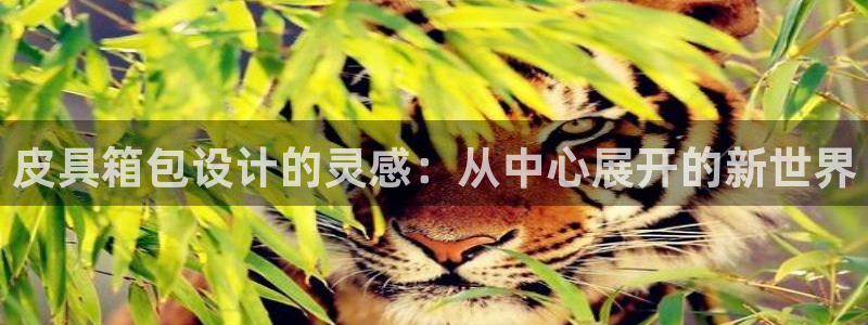 琳琅娱乐百科