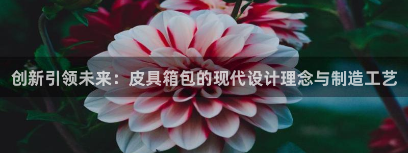 琳琅娱乐注册登录不了