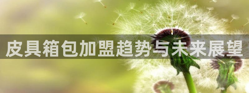 琳琅娱乐工作室地址查询