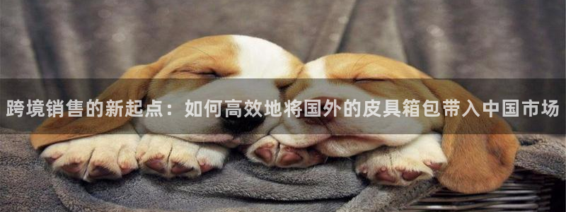 琳琅科技娱乐QQ机器人