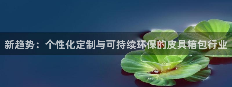 琳琅娱乐工作室招聘信息