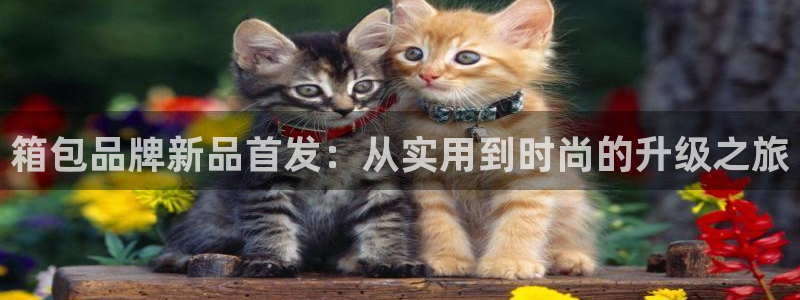 梧州琳琅娱乐城