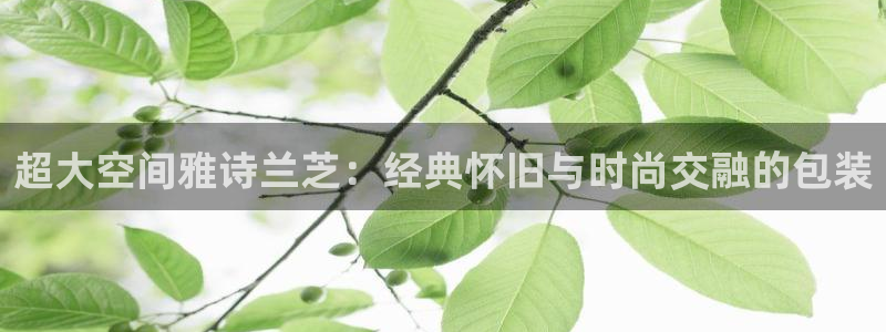 琳琅娱乐工作室招聘