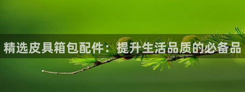 琳琅娱乐