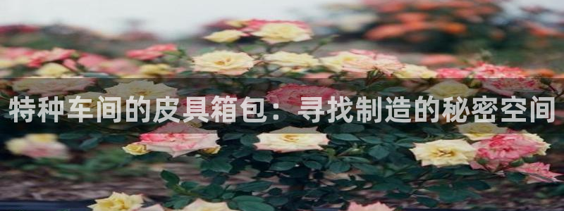 琳琅娱乐放心33300