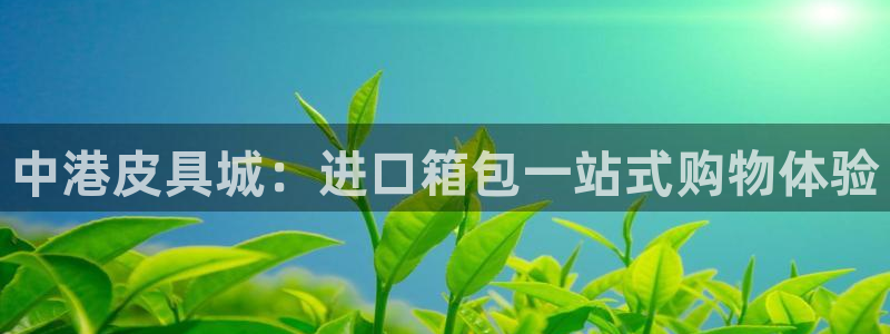 娱乐从琳琅榜开始的小说