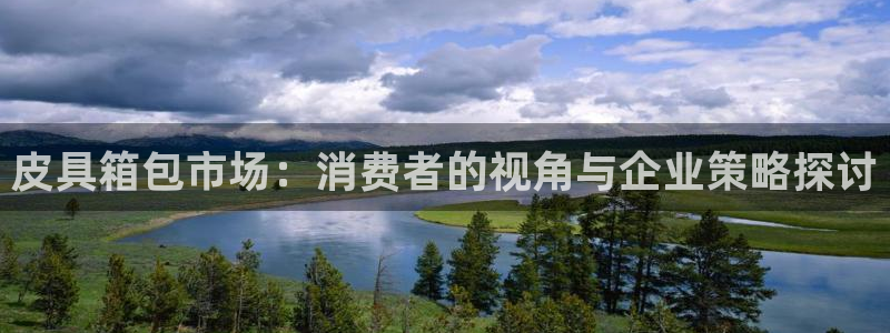 娱乐从琳琅榜开始的小说