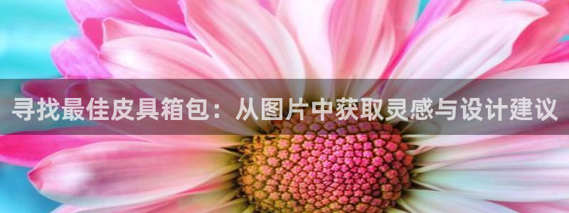 琳琅娱乐场所有哪些