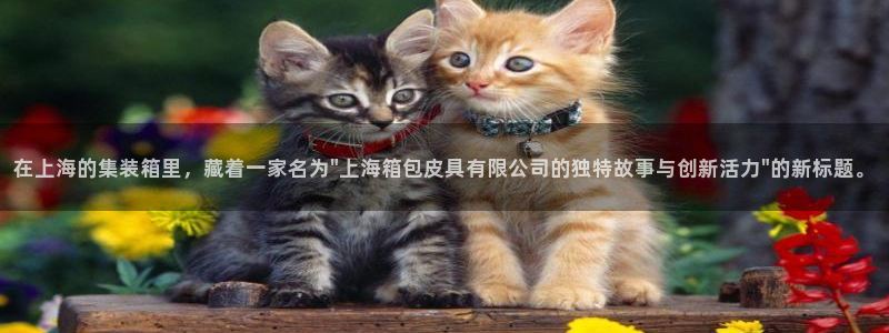 琳琅娱乐组飞车