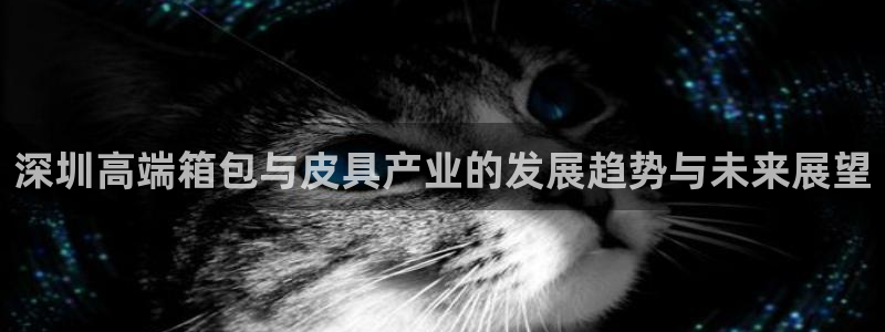 琳琅娱乐4120051