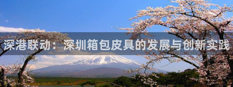 琳琅偏爱娱乐