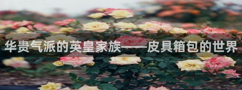 琳琅科技娱乐机器人