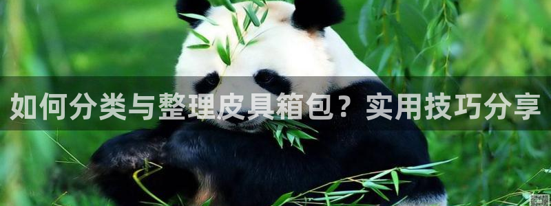 祖龙娱乐官网爱在琳琅