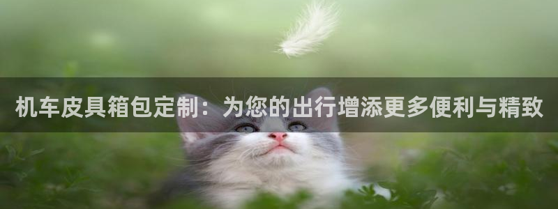 琳琅娱乐是什么