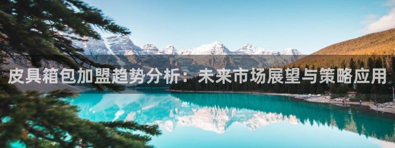 娱乐从琳琅榜开始的小说