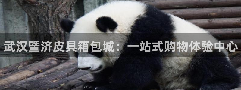 琳琅娱乐600
