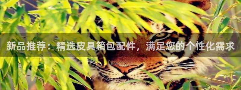 琅琳琅娱乐