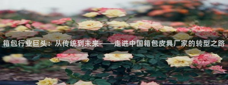 琳琅娱乐平台登陆