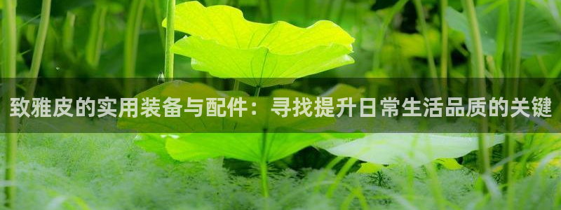 琳琅娱乐平台是真的吗知乎