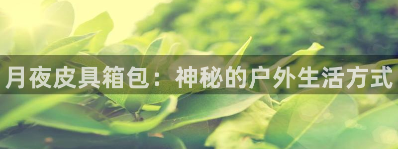 琳琅娱乐是什么