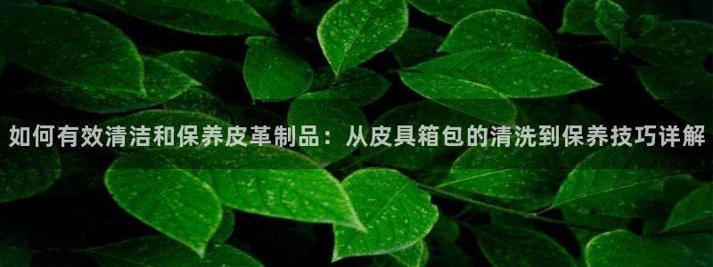 琳琅娱乐放心33300
