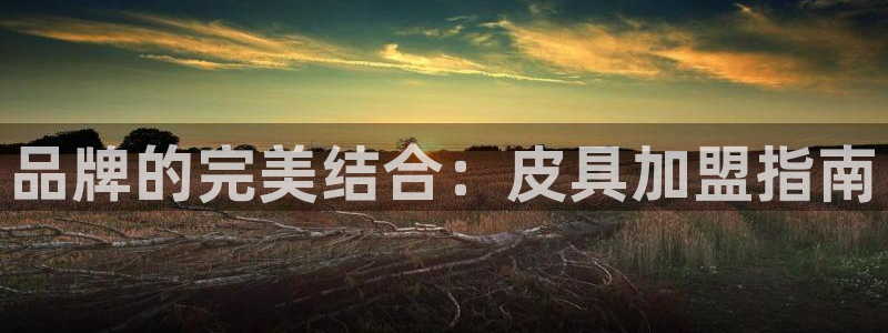 琳琅说娱乐