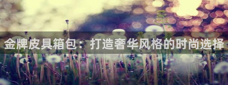 琳琅作者娱乐圈女主