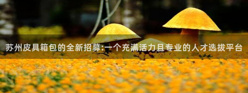 琳琅娱乐社区宅男