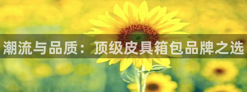 琳琅娱乐温柔乡网站