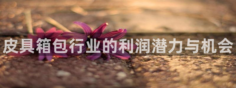 娱乐 从琳琅榜开始