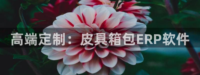 琅琳琅娱乐社区