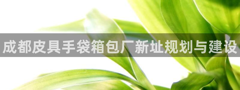 琳琅娱乐工作室