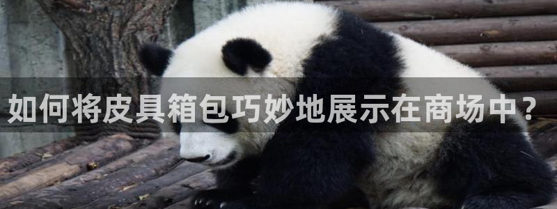 琳琅娱乐注册登录不了