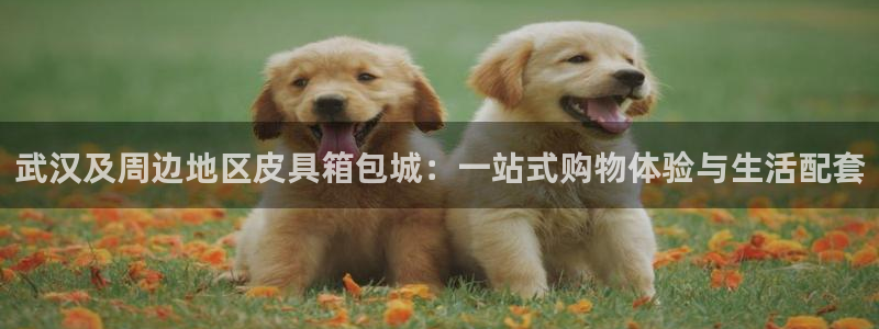 琳琅娱乐平台怎么样啊