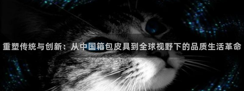 娱乐从琳琅榜开始的小说