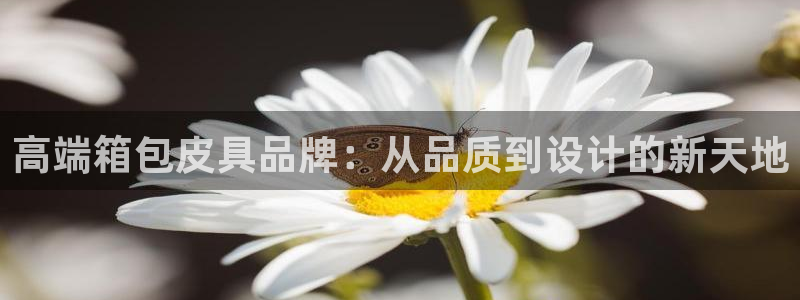 琳琅娱乐主管