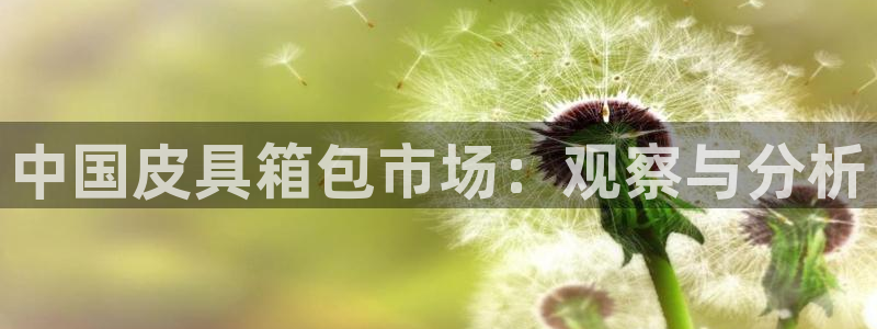 琳琅娱乐工作室招聘
