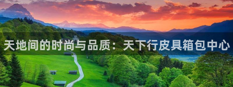 琳琅娱乐 全麦优质