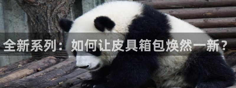 琳琅科技qq娱乐机器人怎么搞