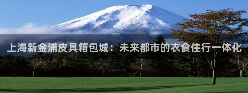 琳琅娱乐注册资金多少