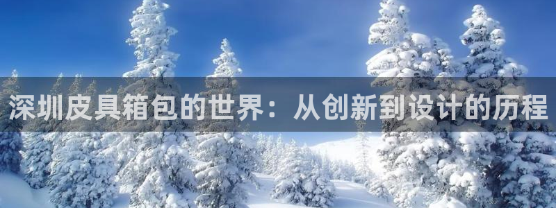 琳琅科技娱乐机器人