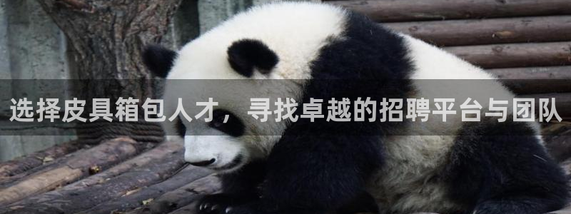 梧州琳琅娱乐城